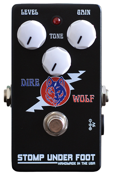 Evolution of the Dire Wolf